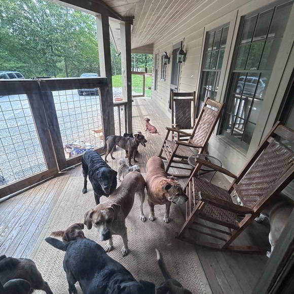 Meet your Posher, Elizabeth - Picture 8 of 13